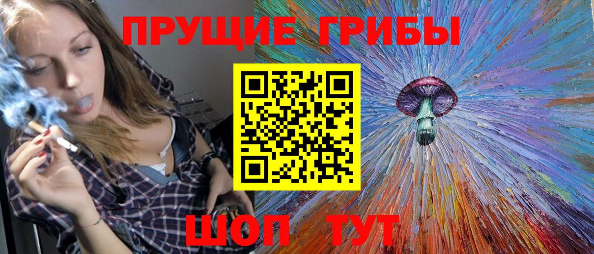 Псилоцибиновые грибы Cubensis Сосновоборск