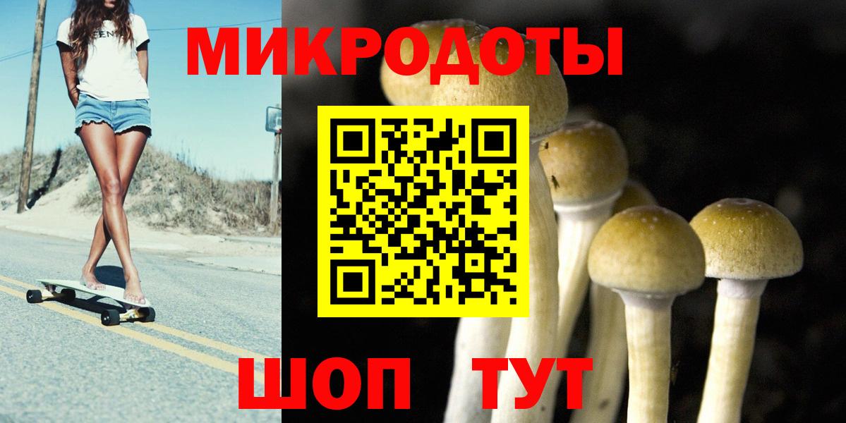 Сосновоборск  Псилоцибиновые грибы мицелий  Вход с VPN 